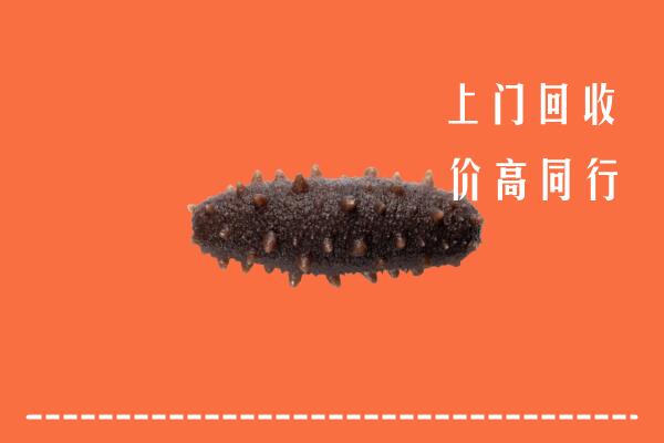 收购行情：营口市回收海参